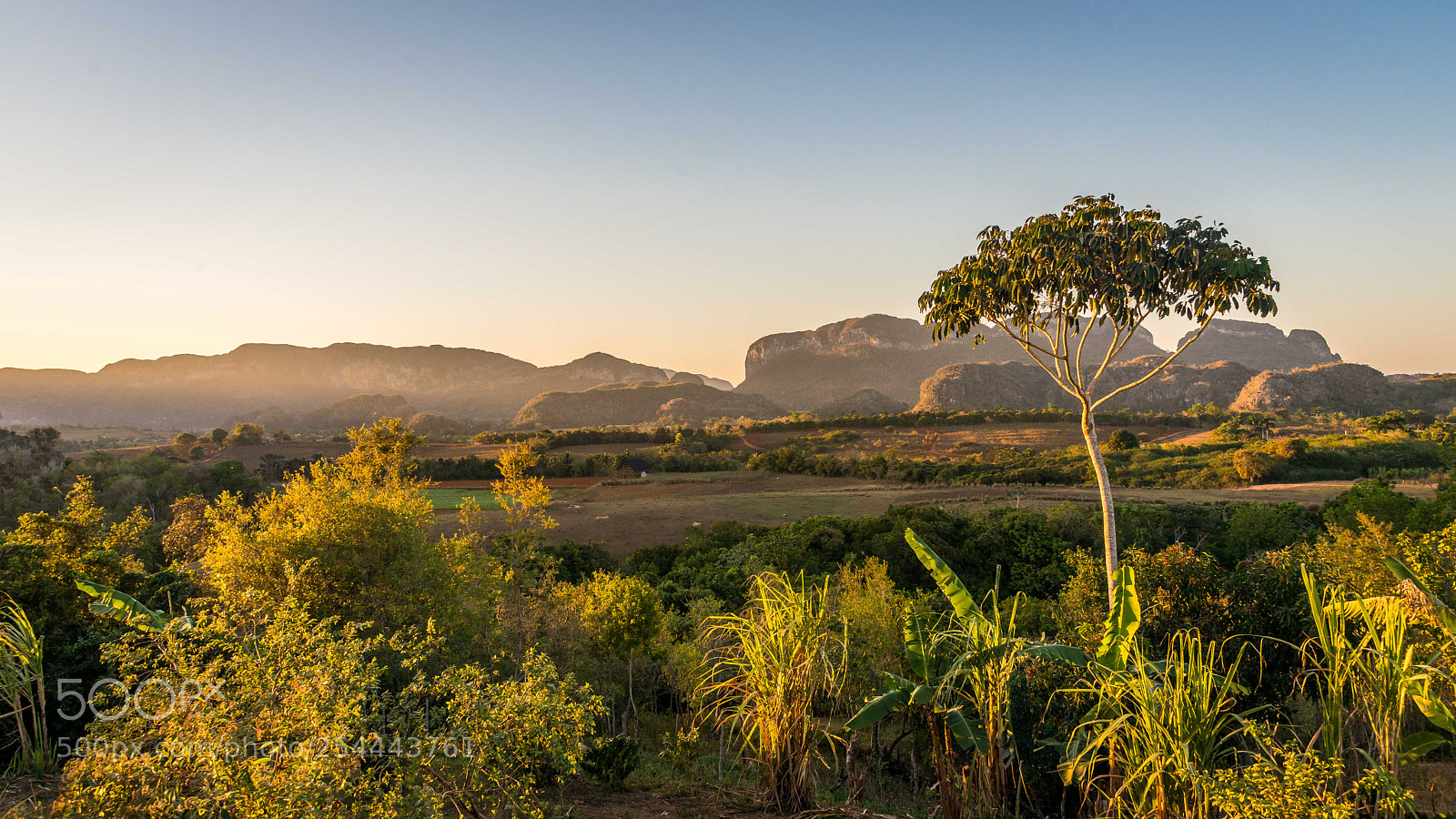 Nikon D800 sample photo. Cuba - viñales photography