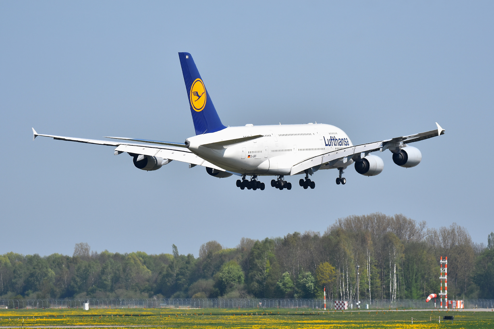 Sigma 150-600mm F5-6.3 DG OS HSM | C sample photo. The biggest one in muc today photography