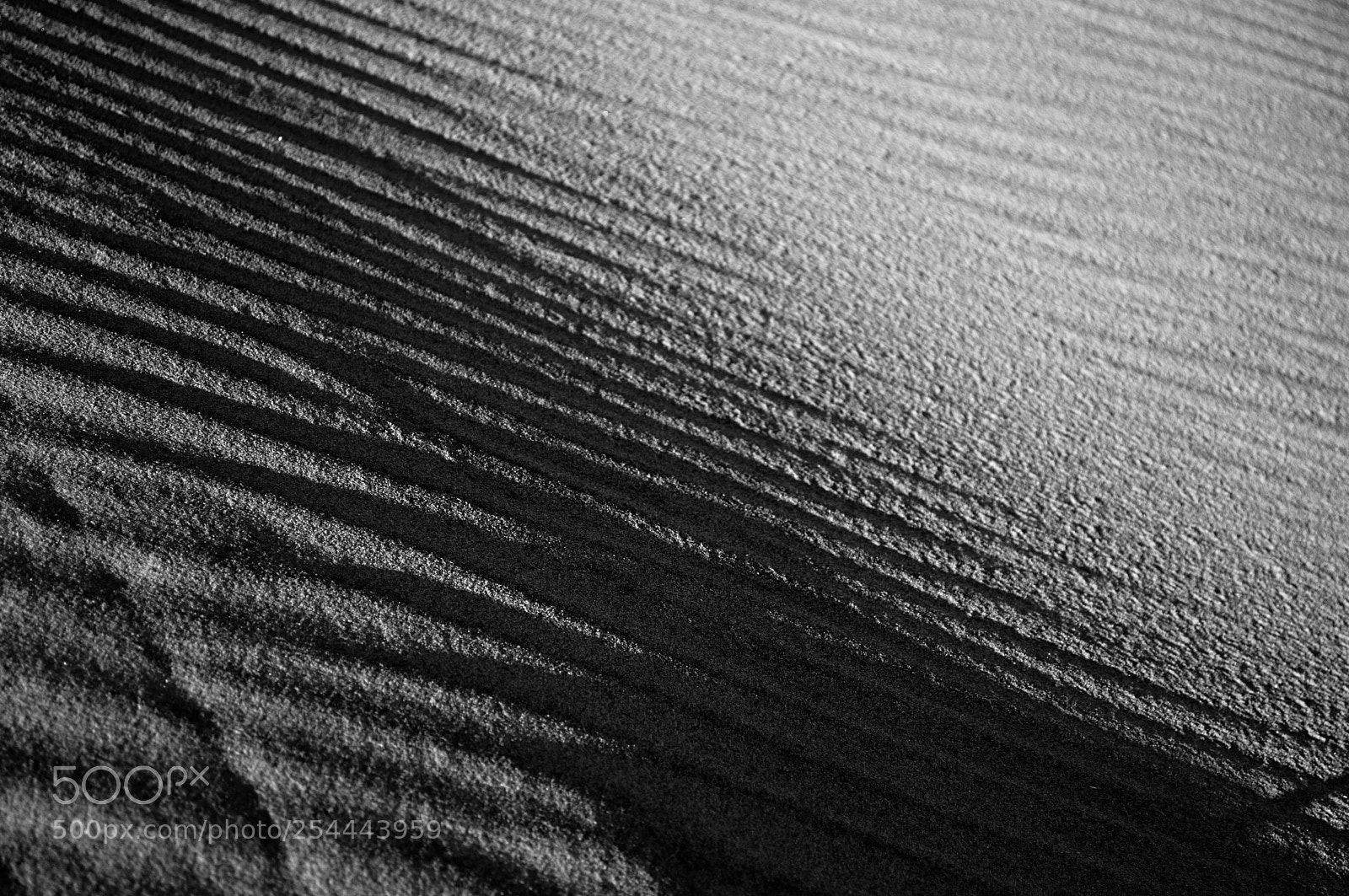 Nikon D3200 sample photo. Dunes viii photography