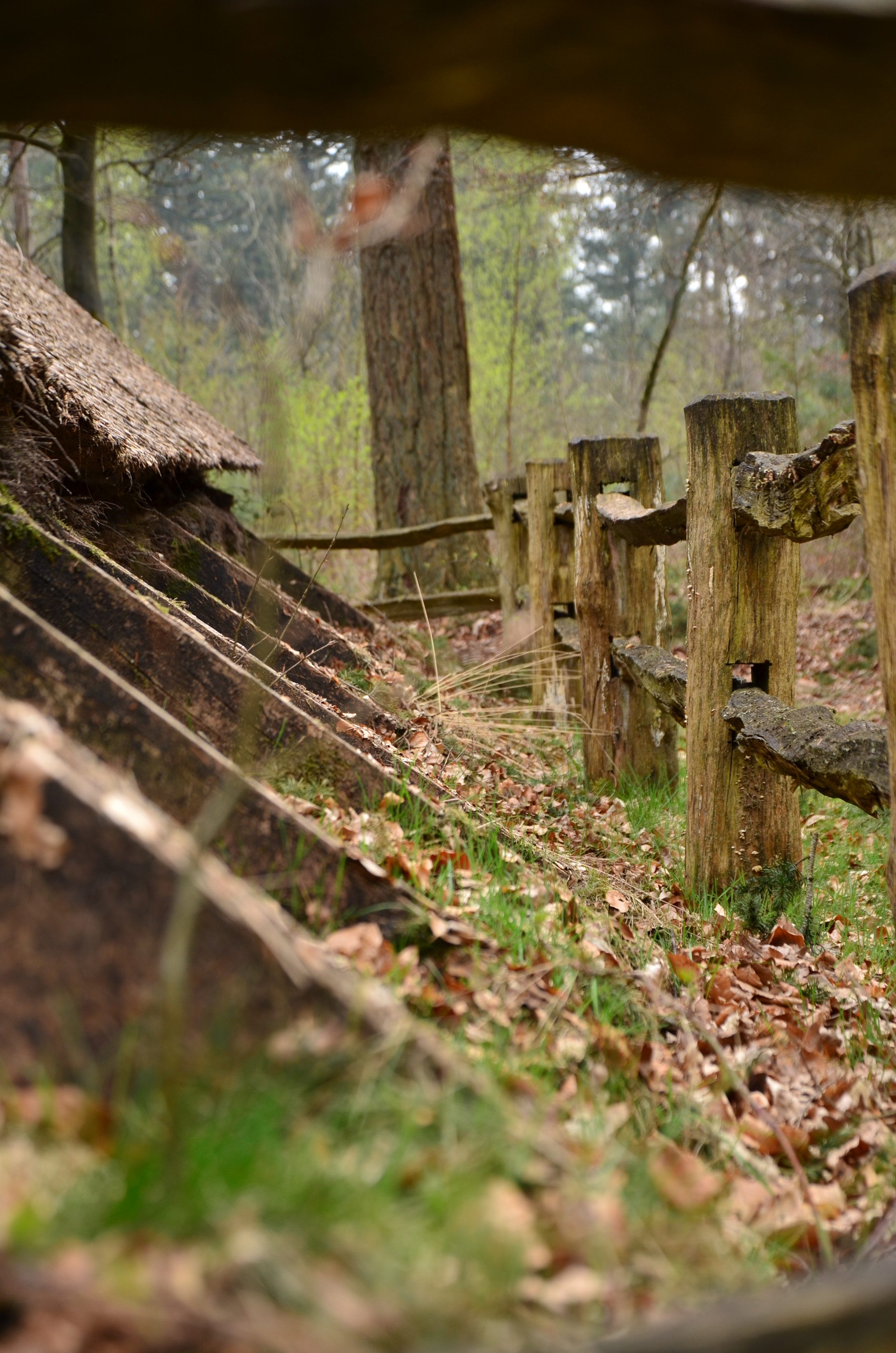 Nikon D5100 sample photo. The barn still stands photography