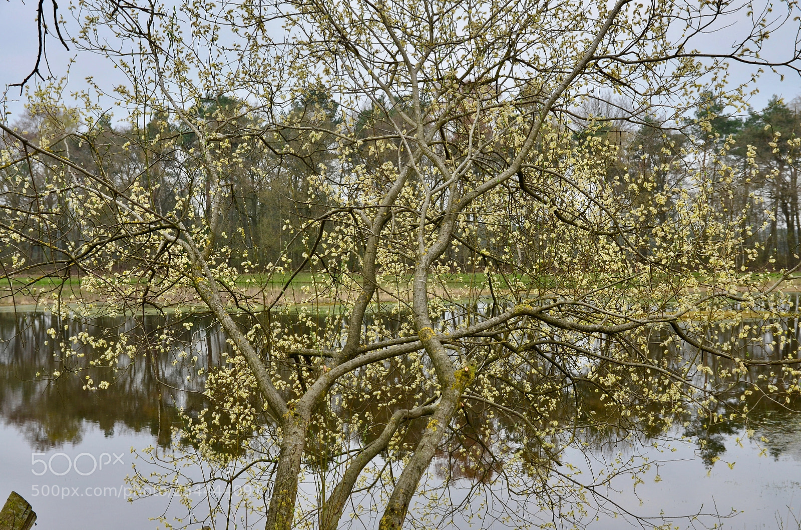 Nikon D5100 sample photo. Awakening photography