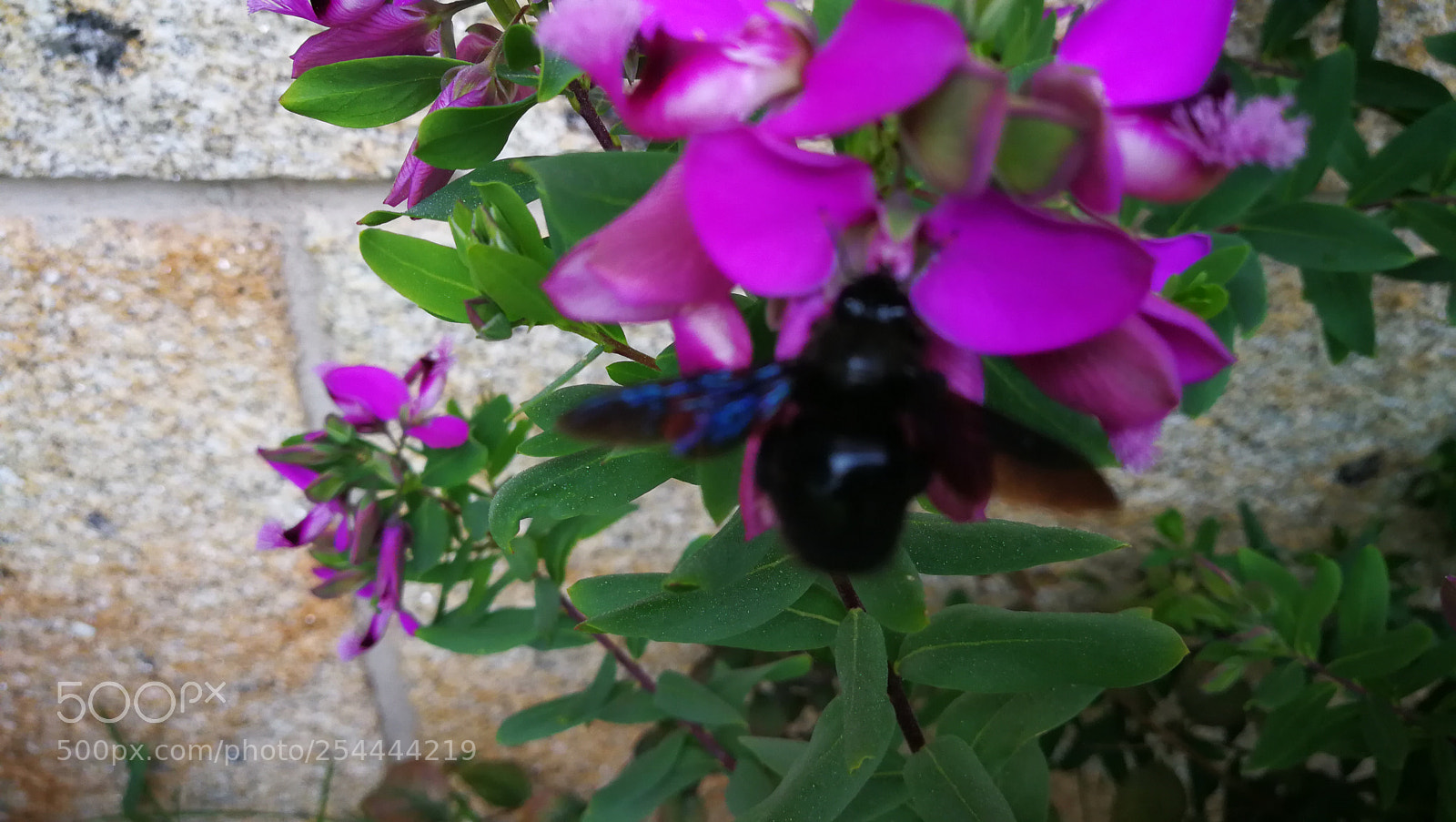 HUAWEI P10 Plus sample photo. Untitled photography
