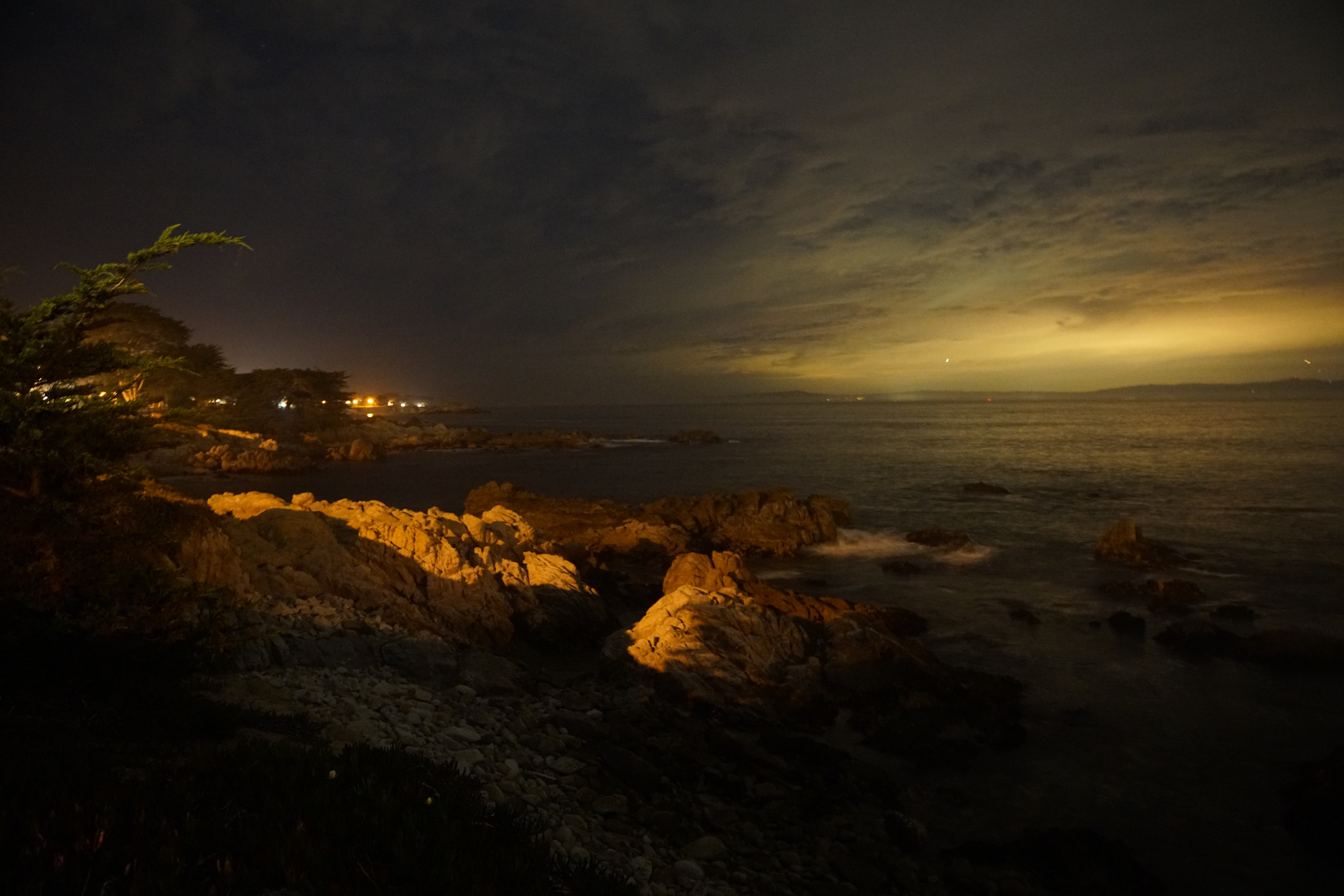 Sony FE 24-70mm F2.8 GM sample photo. The night of monterey photography
