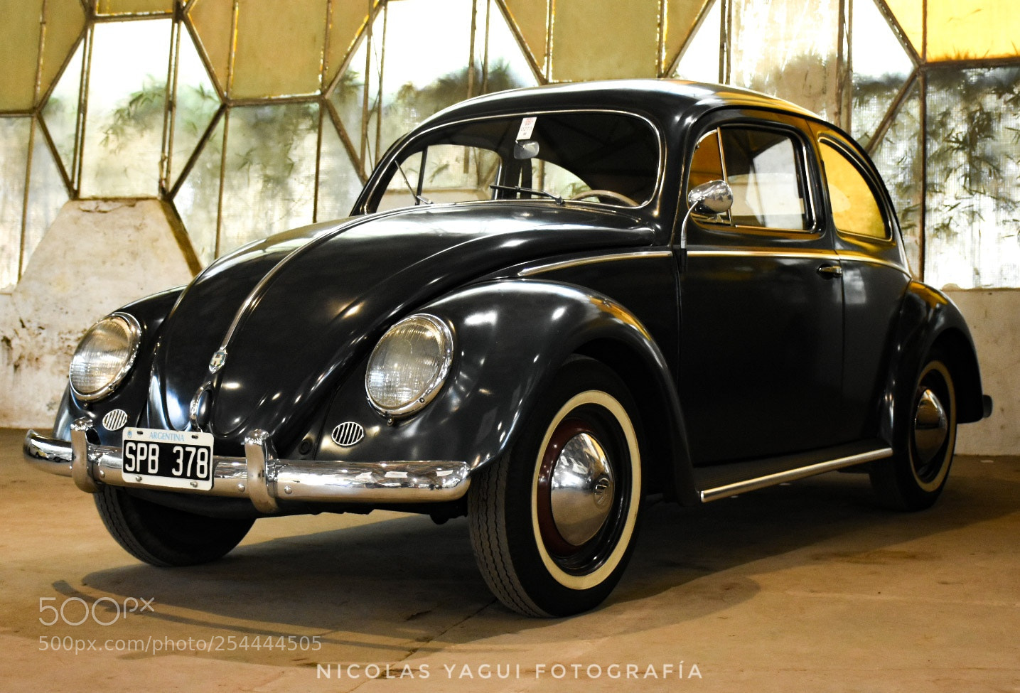 Nikon D7200 sample photo. Beetle photography