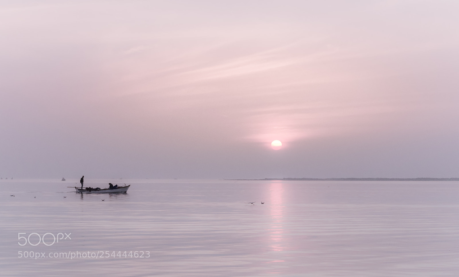 Nikon D5100 sample photo. Pink sunset photography