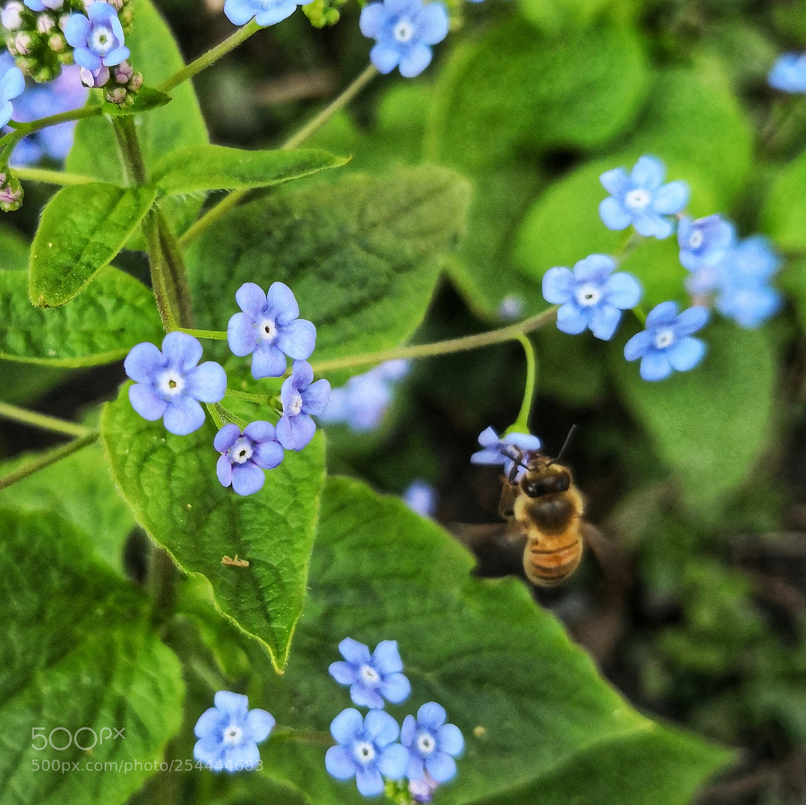 HUAWEI Mate 10 Pro sample photo. Untitled photography