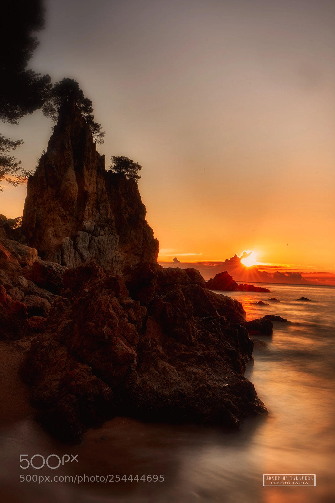Nikon D800 sample photo. First rays of the photography