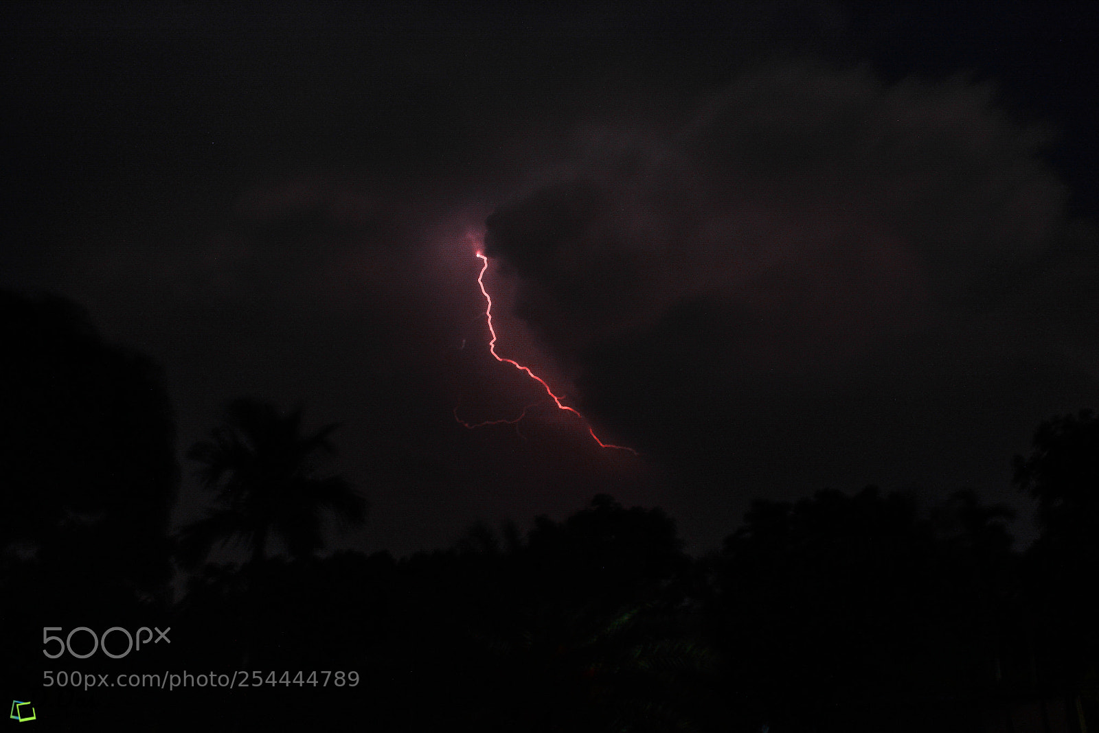Nikon D7100 sample photo. Untitled photography