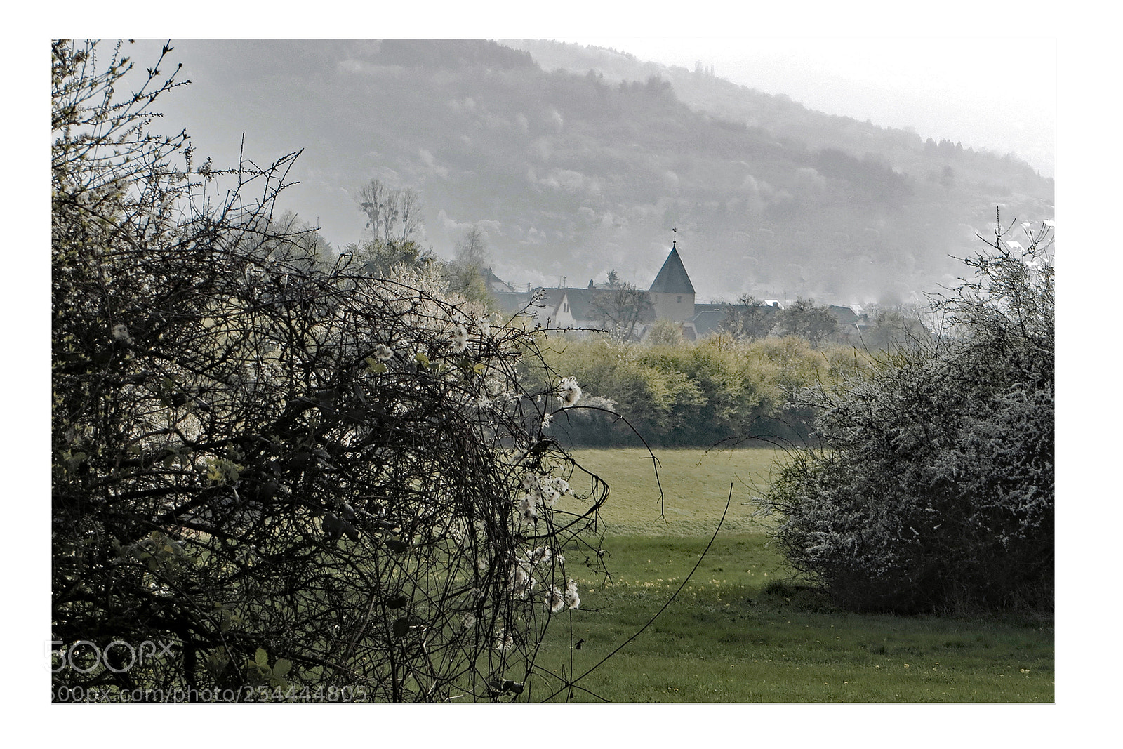 Canon PowerShot SX240 HS sample photo. Schl sselblumenwiese bei liersberg photography