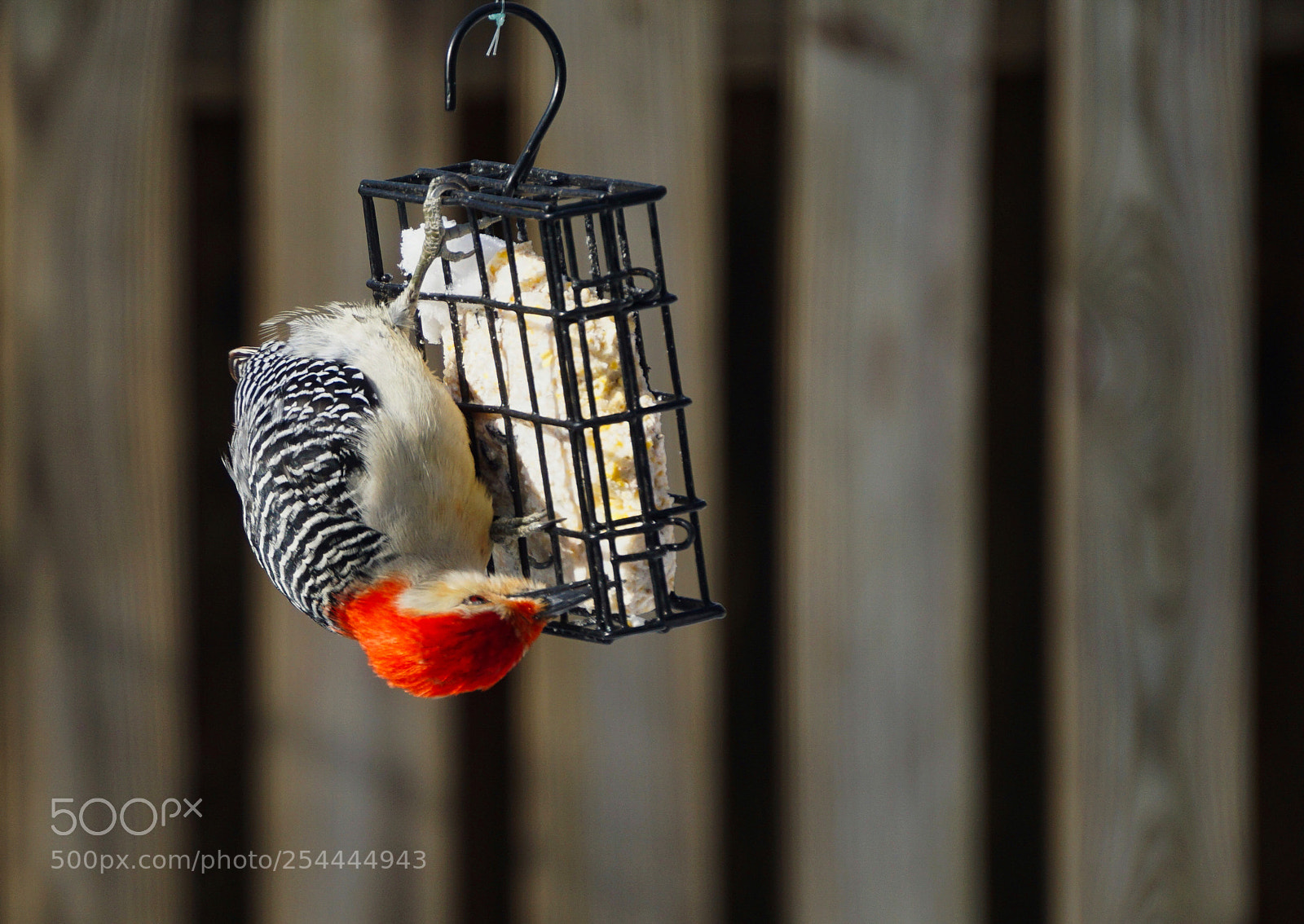 Sony a6000 sample photo. Cute redhead photography