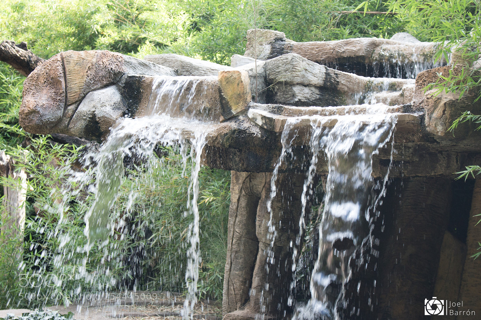 Canon EOS 700D (EOS Rebel T5i / EOS Kiss X7i) sample photo. Zool gico le n photography