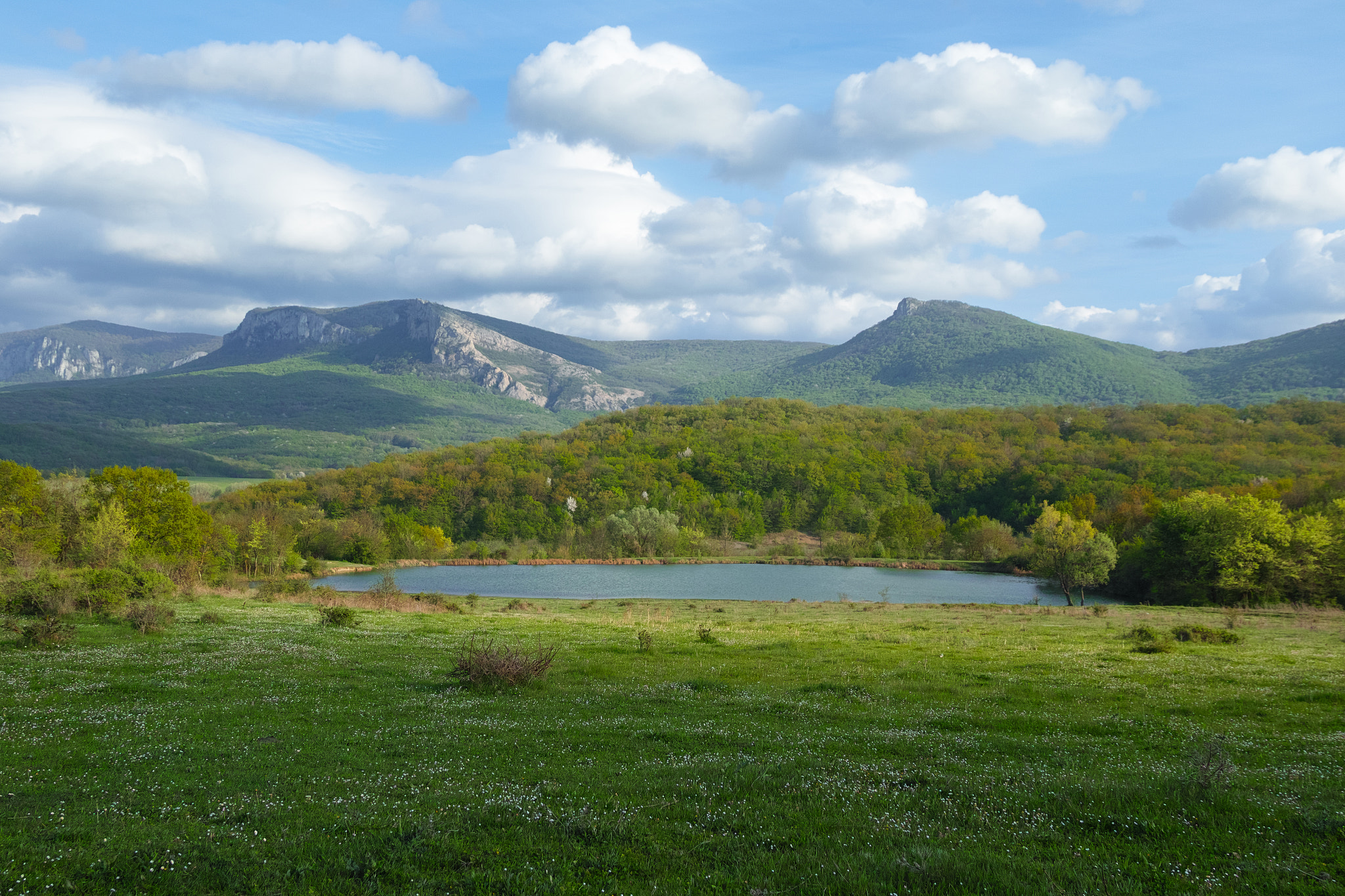 Sigma sd Quattro sample photo. Crimea photography