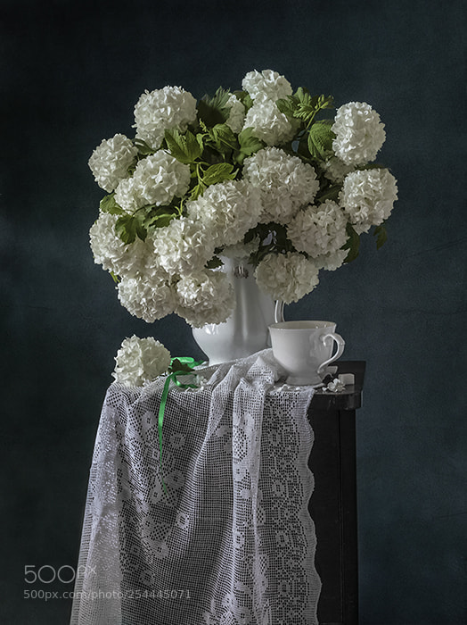 Canon EOS 80D sample photo. Бульдонеж photography