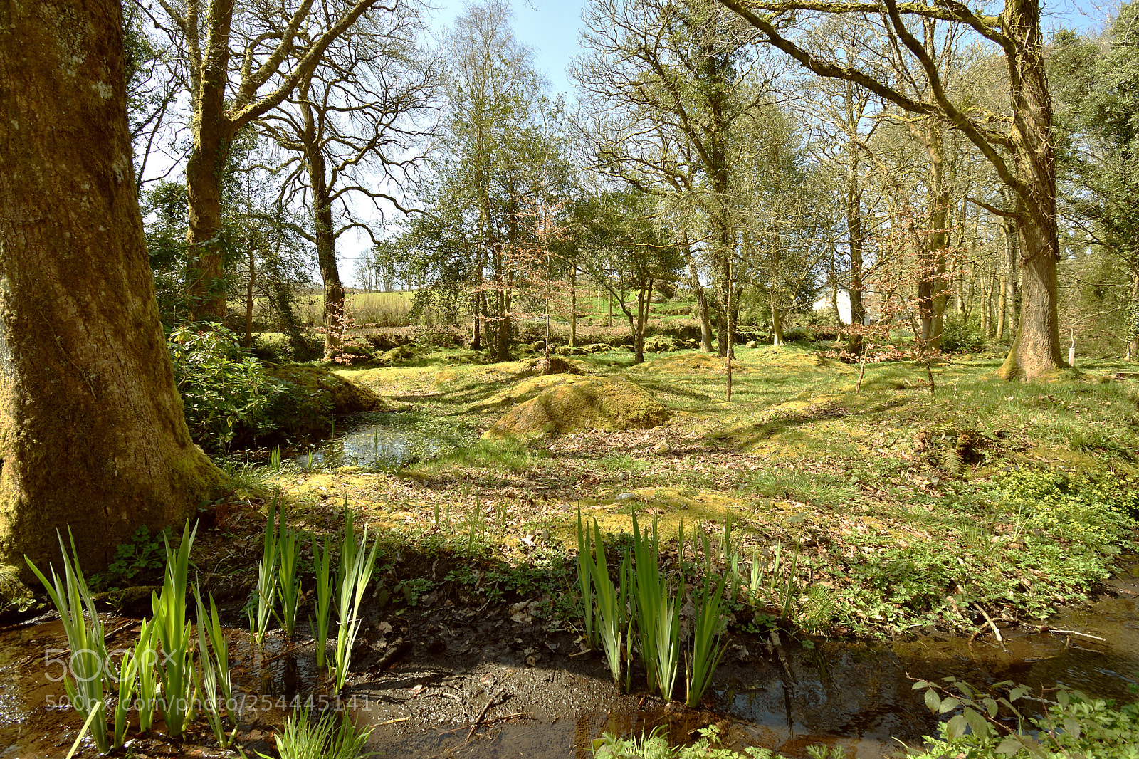 Nikon D5600 sample photo. Dsc_0082_00001.jpg photography