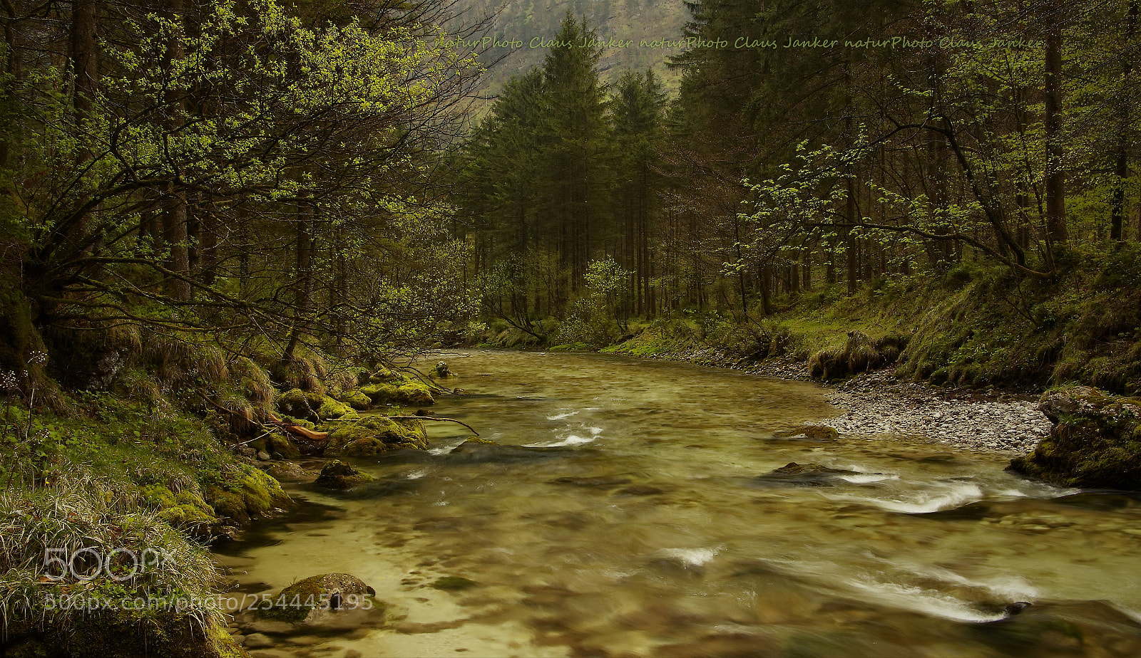 Canon EOS 70D sample photo. Ein flu in den photography