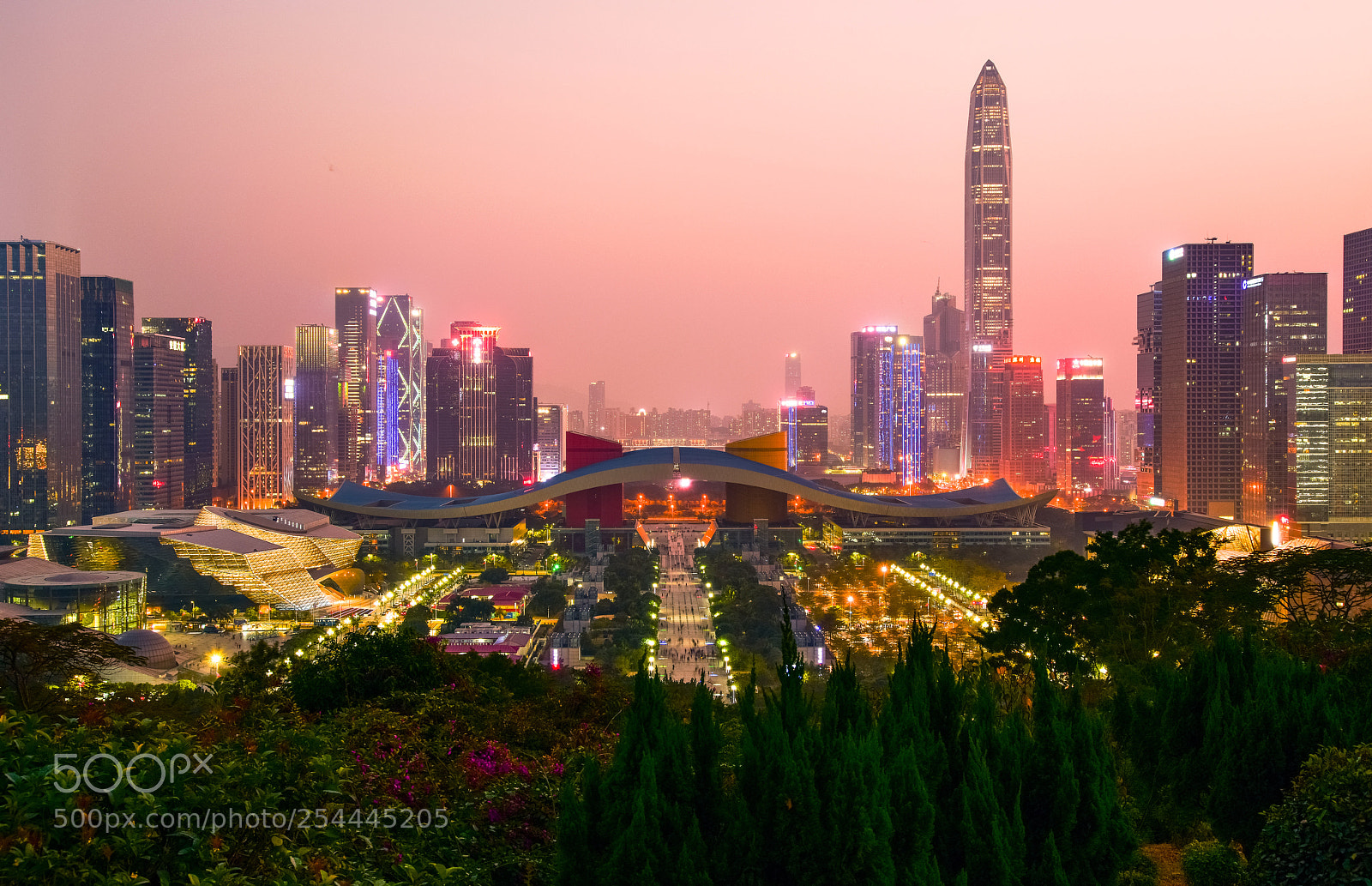 Nikon D810 sample photo. Shenzhen photography