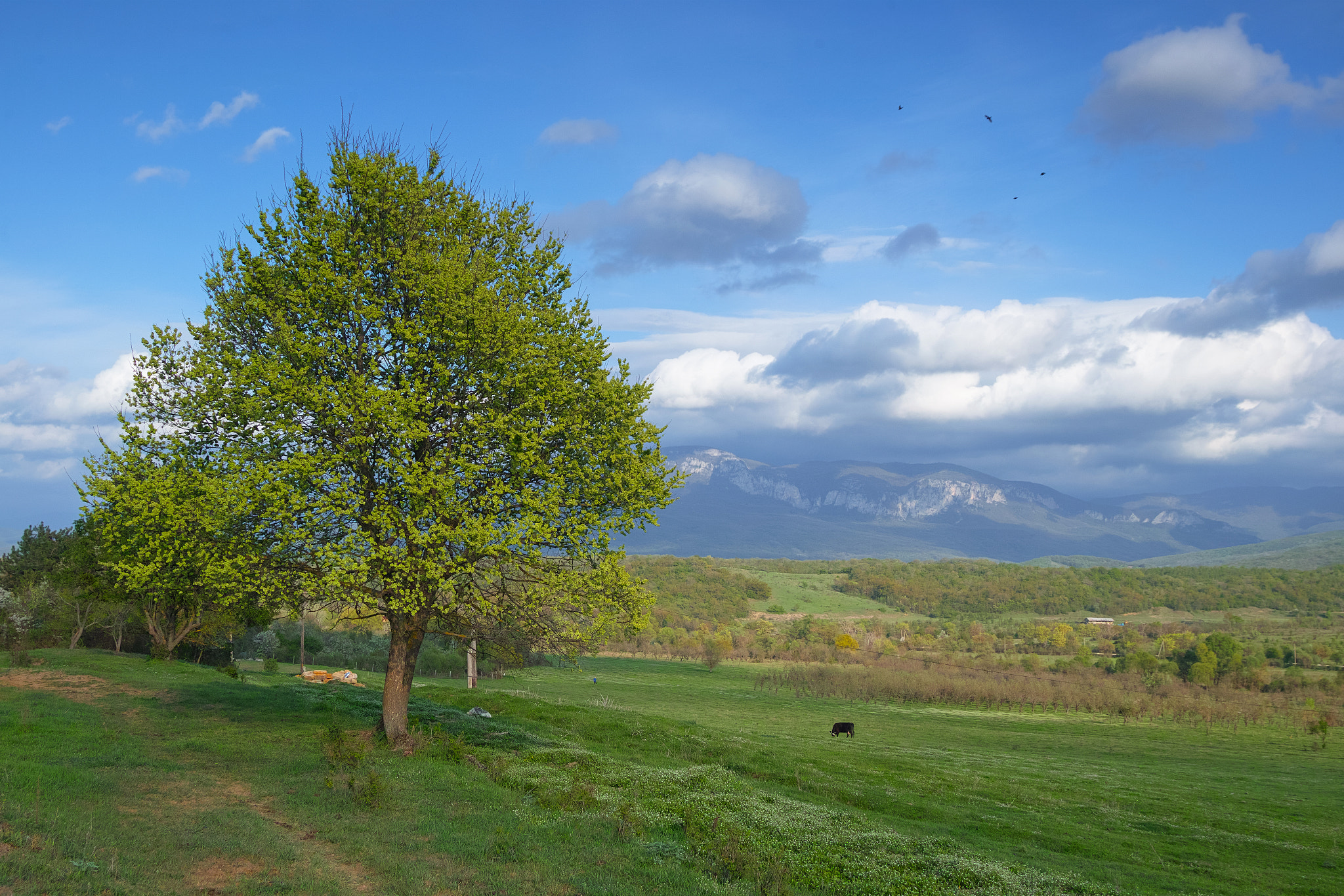 Sigma sd Quattro sample photo. Crimea photography