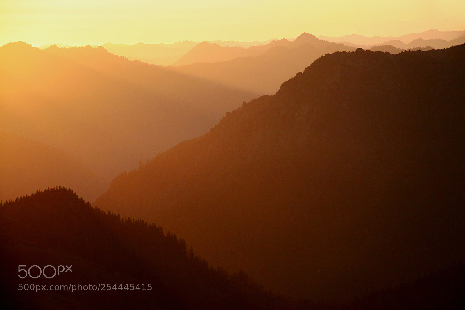 Canon EOS 20D sample photo. A smoky olympic's sunset photography