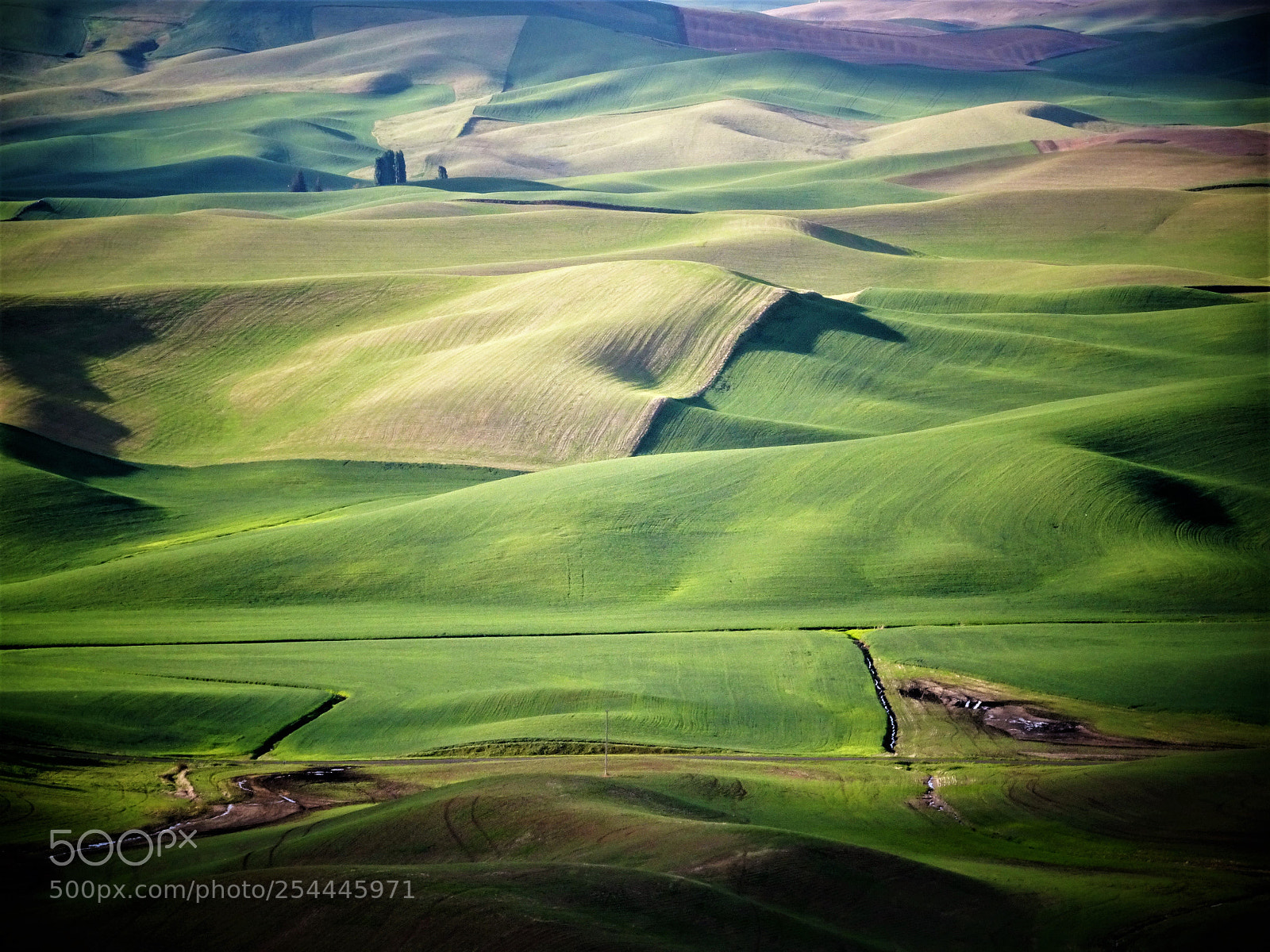 Sony Cyber-shot DSC-HX90V sample photo. Spring in palouse. photography