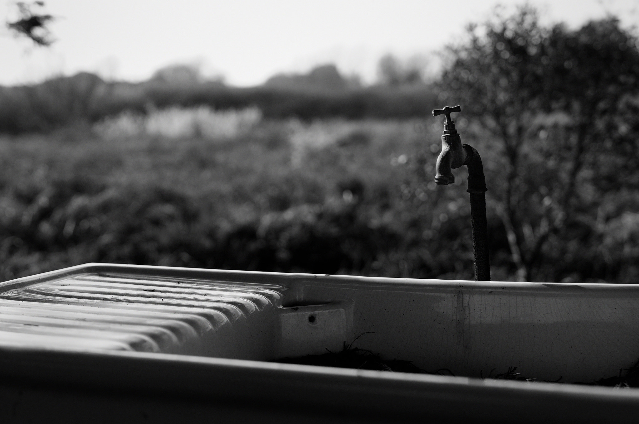 Samyang 35mm F1.4 AS UMC sample photo. Ceramic sink lost in nature photography