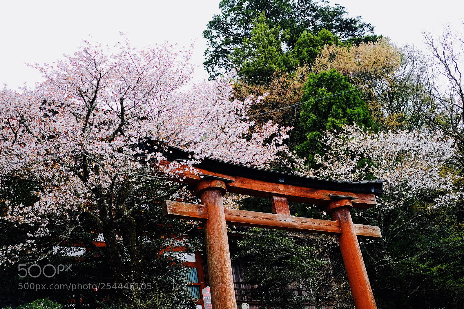Fujifilm X-T10 sample photo. 吉野山 photography
