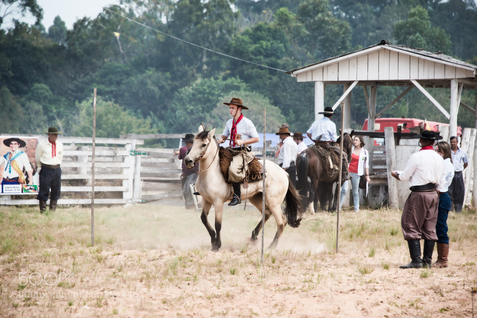 Nikon D610 sample photo. Centauro do pampa... photography