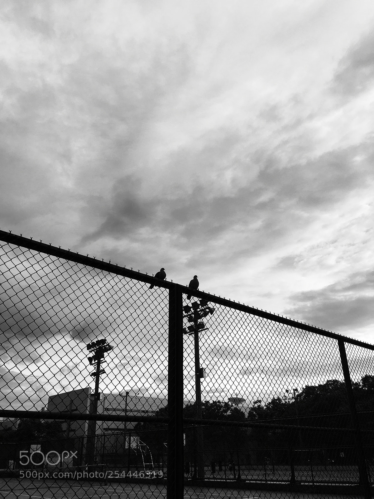 Apple iPhone 6s sample photo. Thesky photography