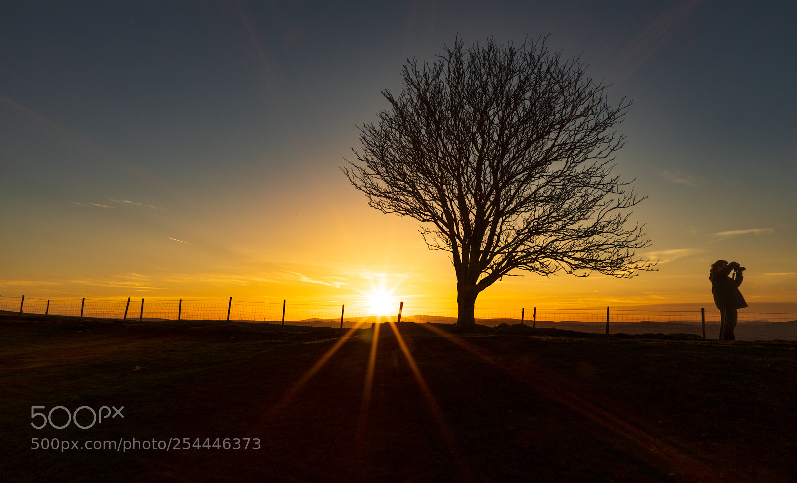 Canon EOS 5D Mark IV sample photo. Sunset and silhouettes photography
