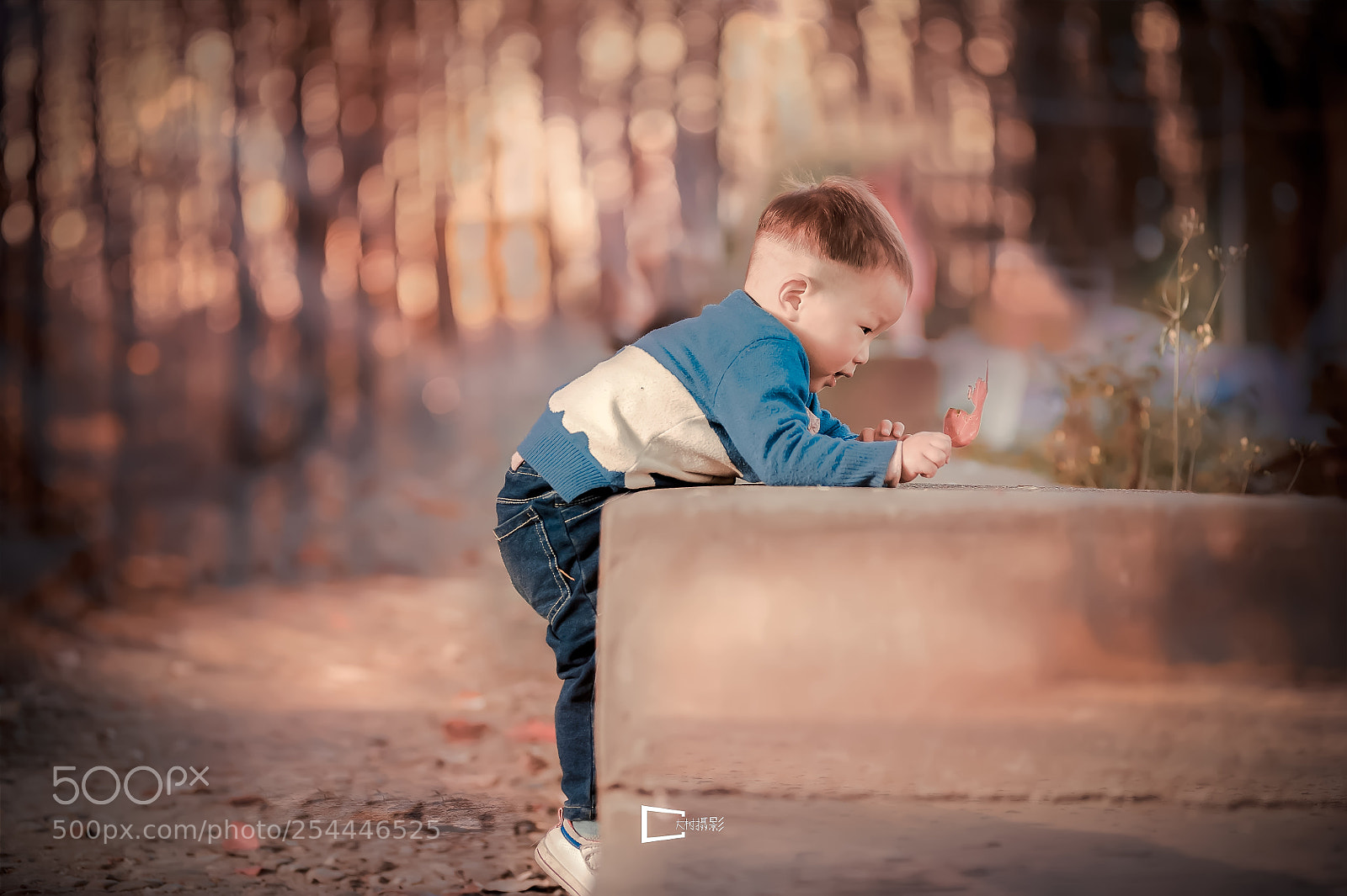 Nikon D700 sample photo. 434234-2.jpg photography