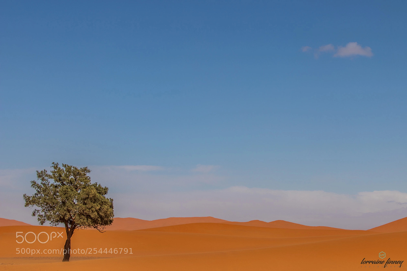 Canon EOS 6D Mark II sample photo. Guarding the dunes photography