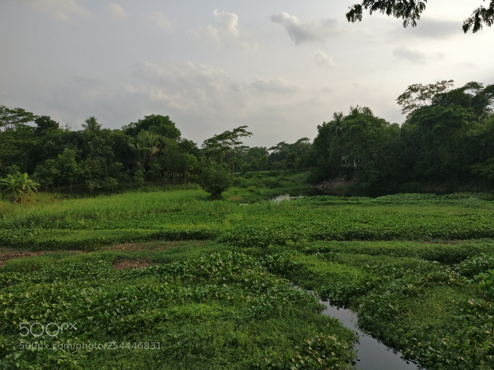 OnePlus A3003 sample photo. Untitled photography