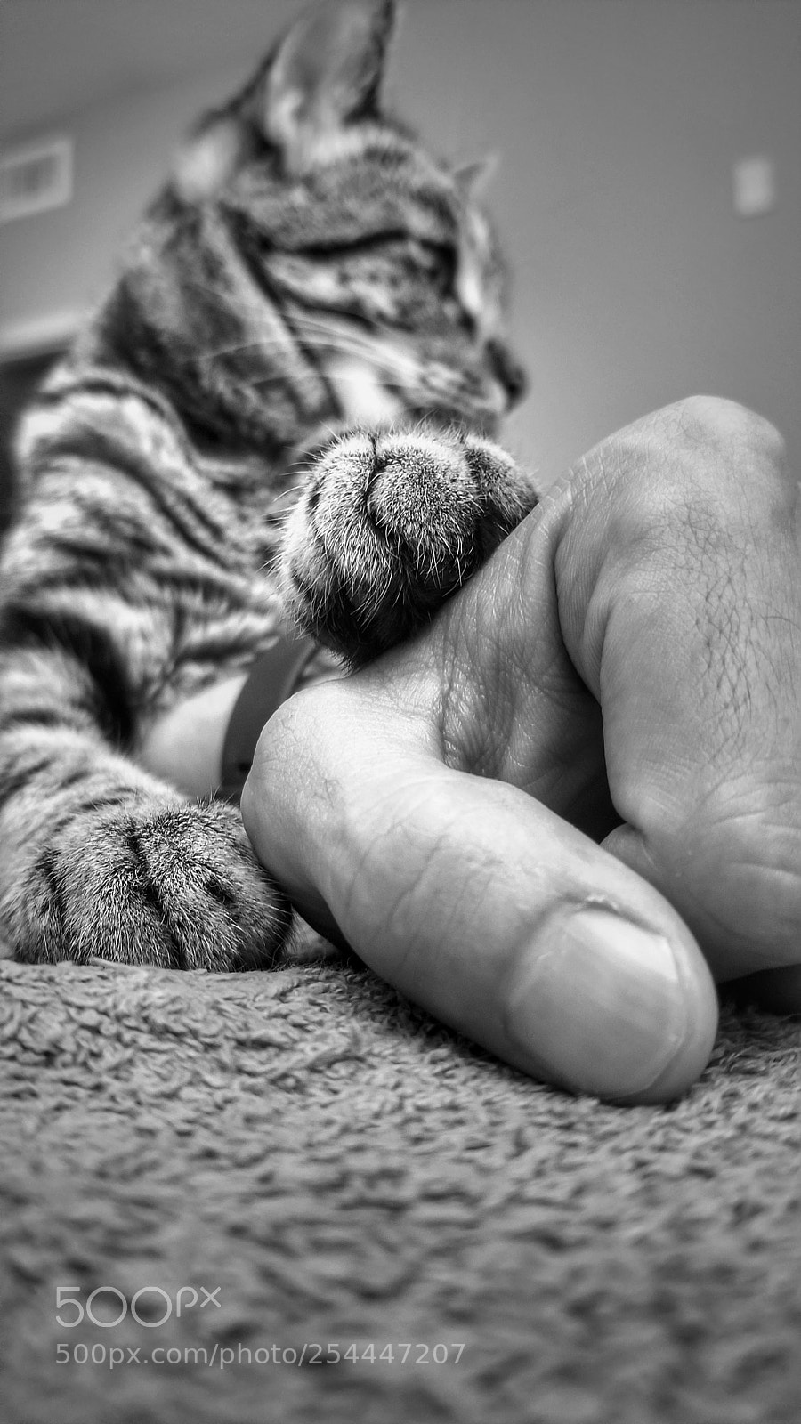 Samsung Galaxy S8 sample photo. Hands photography