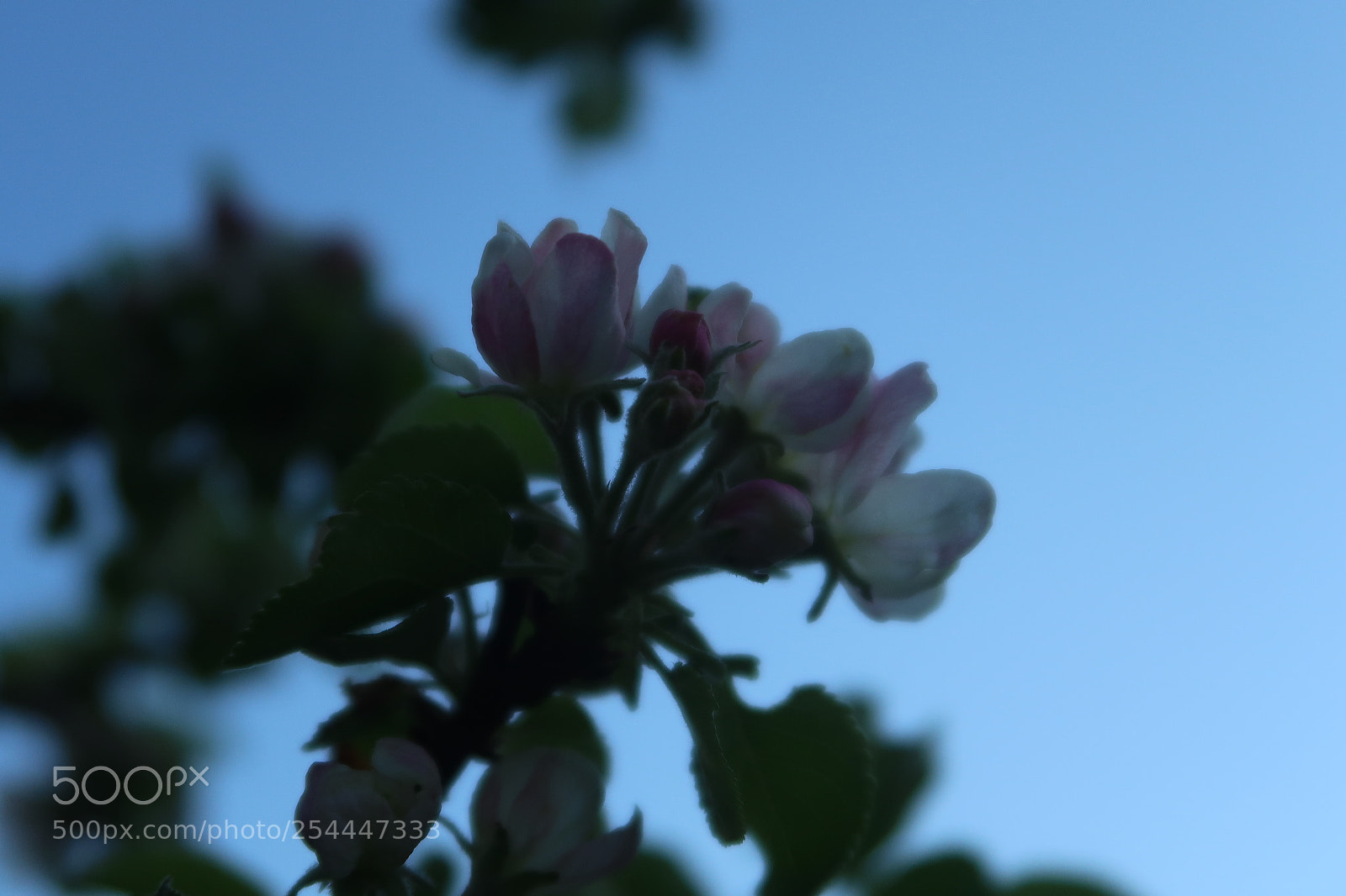 Canon PowerShot G7 X Mark II sample photo. Its a color swirl photography