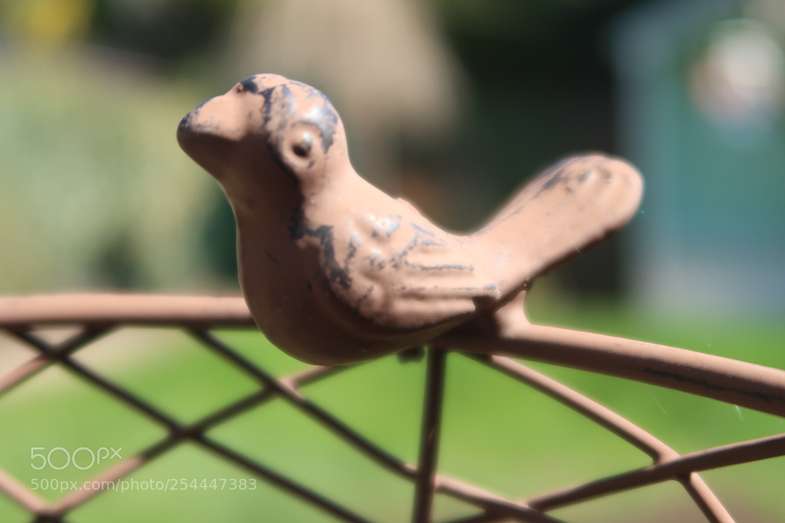 Canon PowerShot G7 X Mark II sample photo. Small metal bird photography
