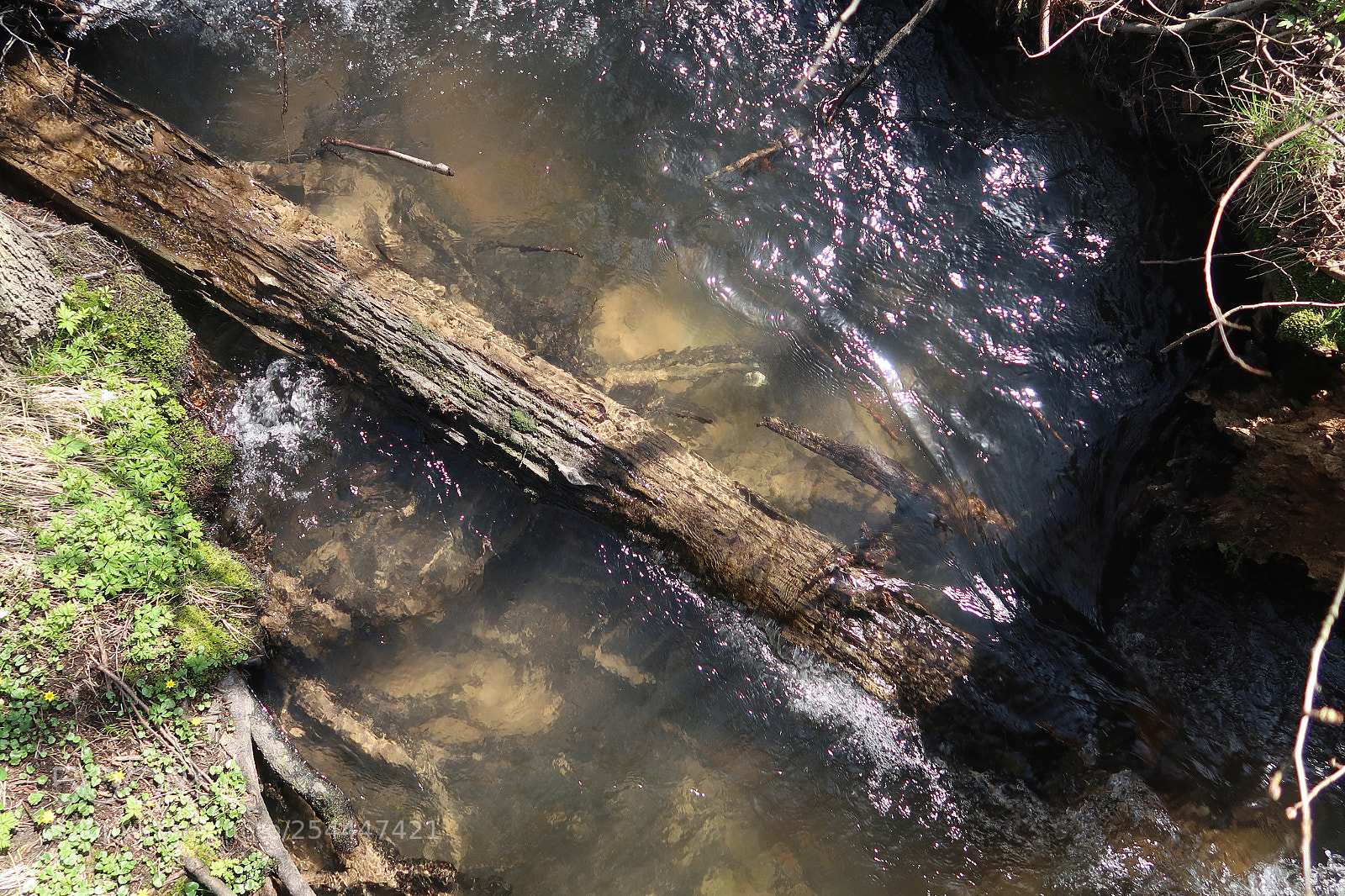 Canon PowerShot G7 X Mark II sample photo. Creek from above photography