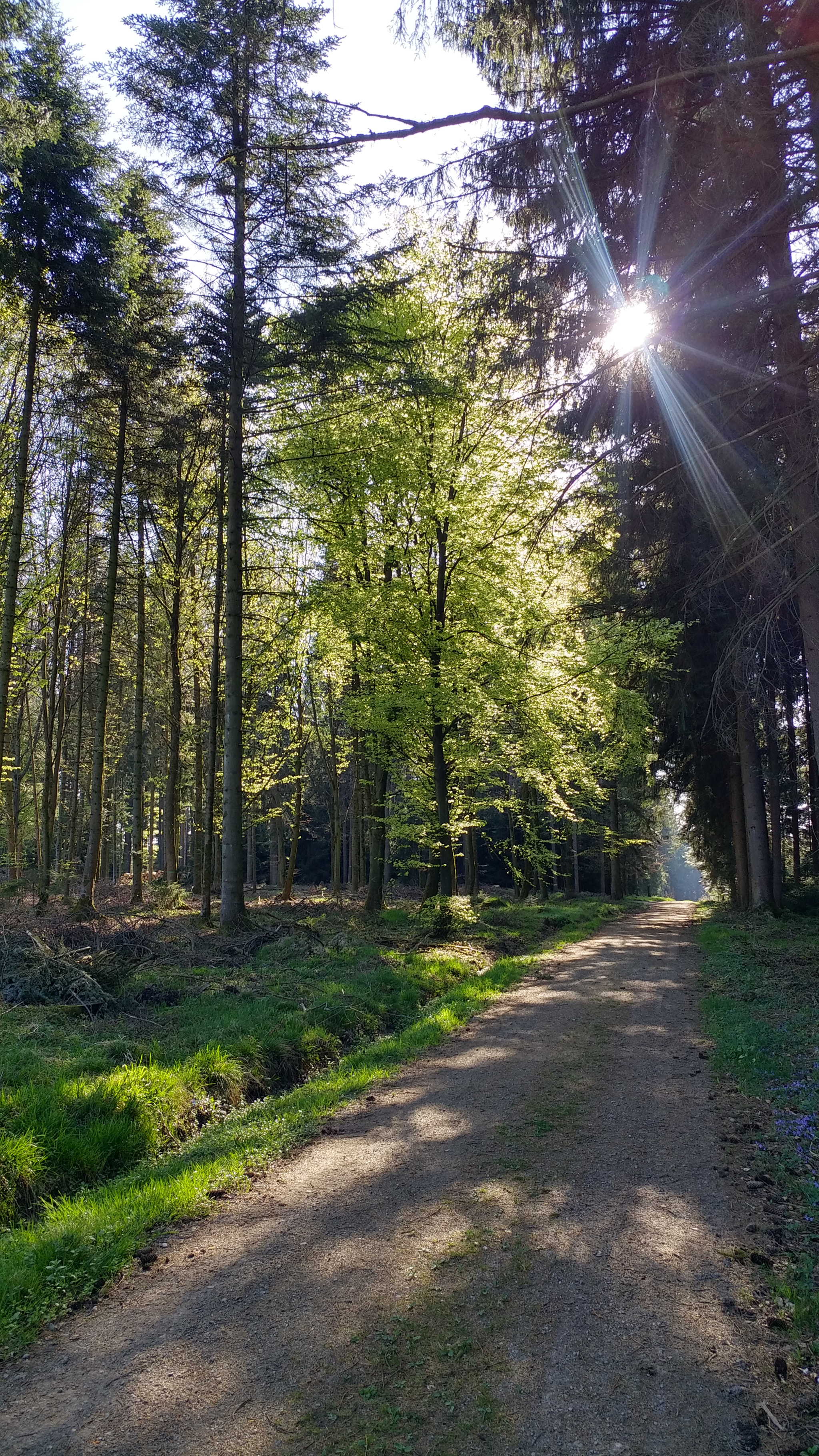LG G5 SE sample photo. Frühlings anfang photography