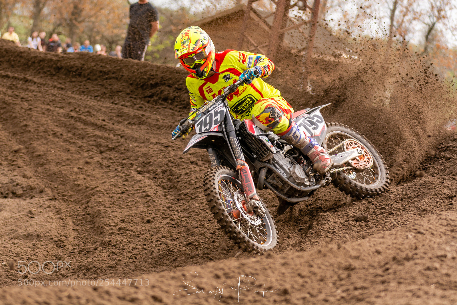Nikon D7100 sample photo. Hungarian mx #795 photography