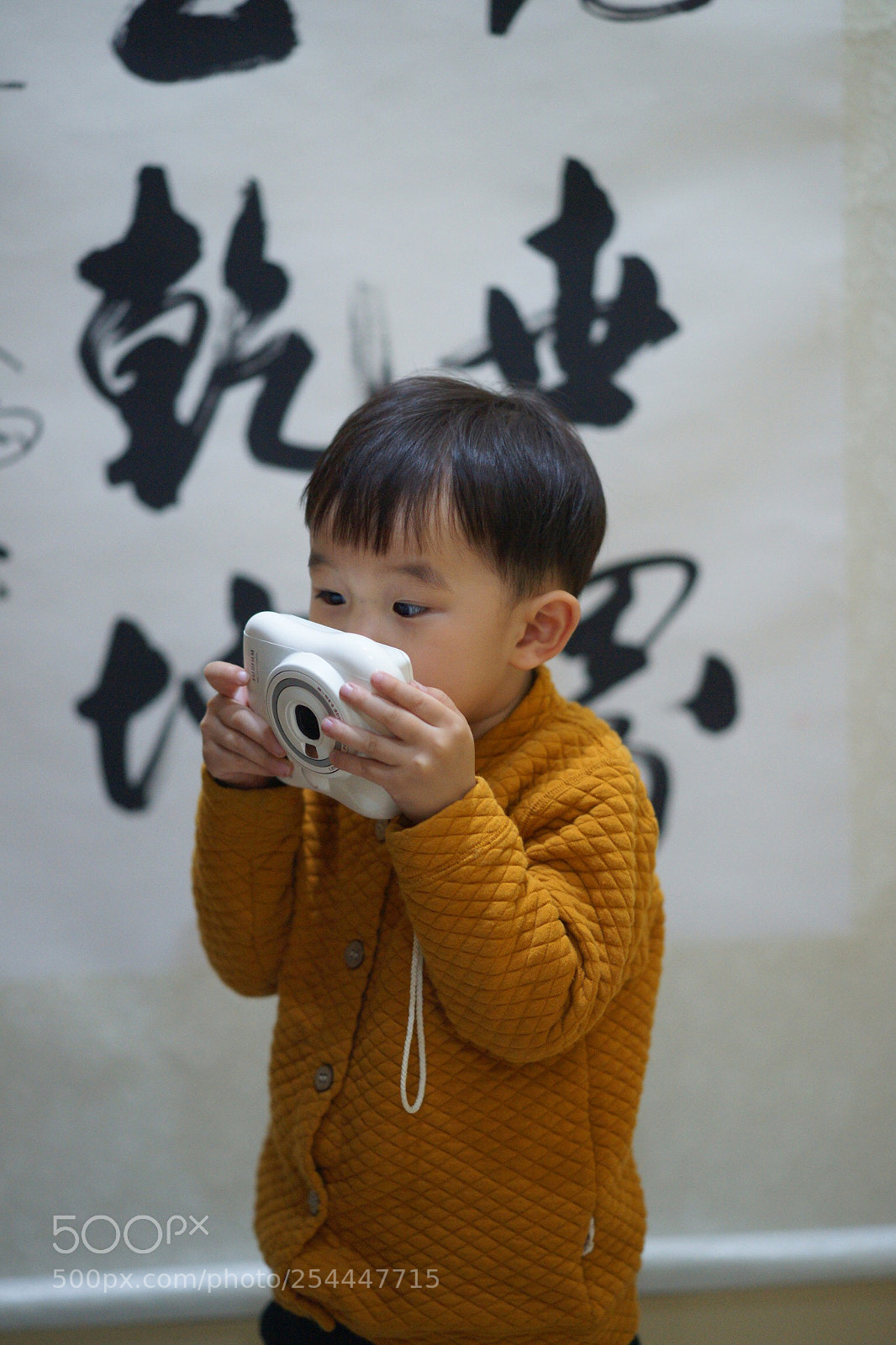 Sony Alpha DSLR-A850 sample photo. Untitled photography