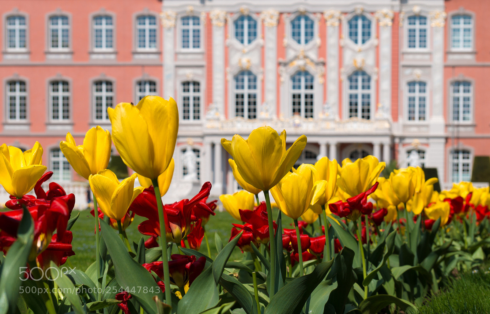 Sony SLT-A58 sample photo. Royal palace photography