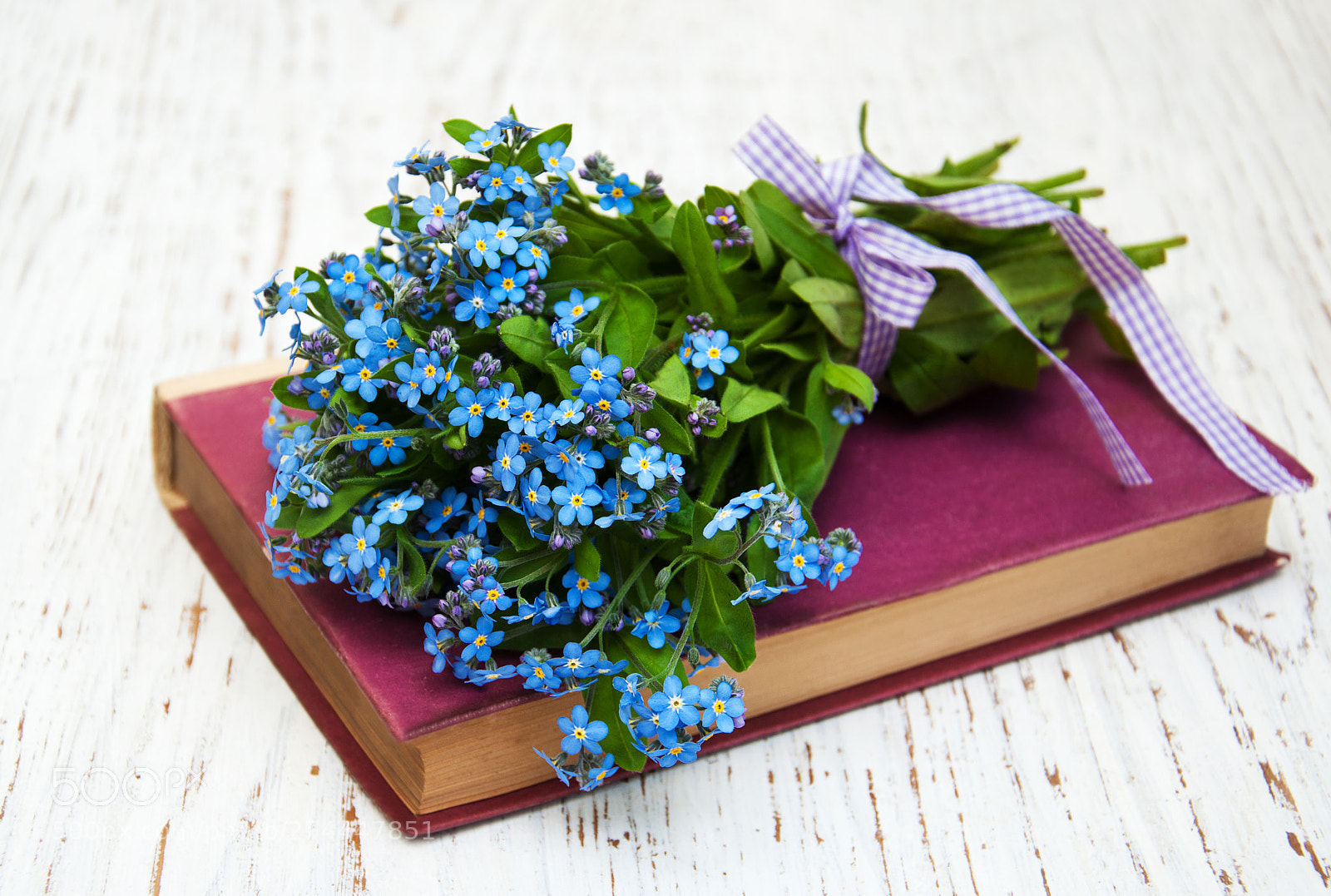 Nikon D90 sample photo. Bunch of forget-me-not flowers photography