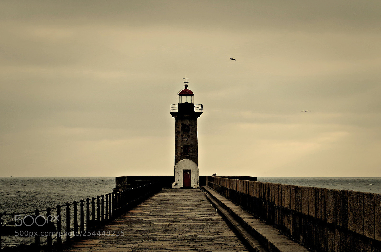 Pentax K-50 sample photo. Matosinhos photography