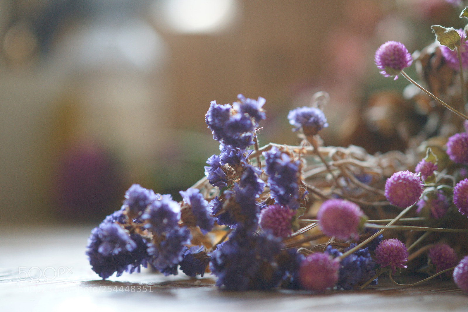 Sony Alpha DSLR-A850 sample photo. Untitled photography