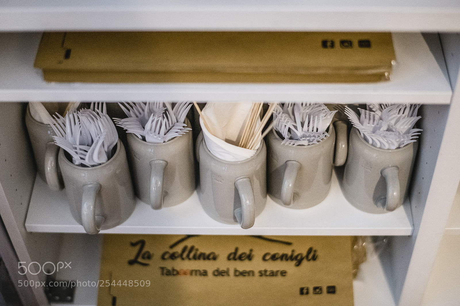 Nikon D850 sample photo. Concerto photography