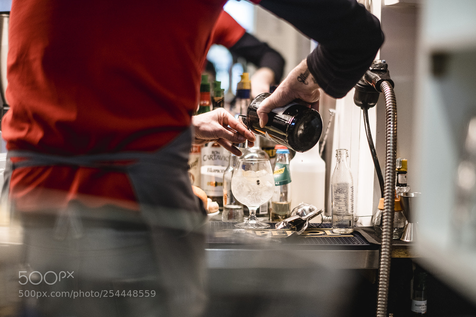 Nikon D850 sample photo. Concerto photography