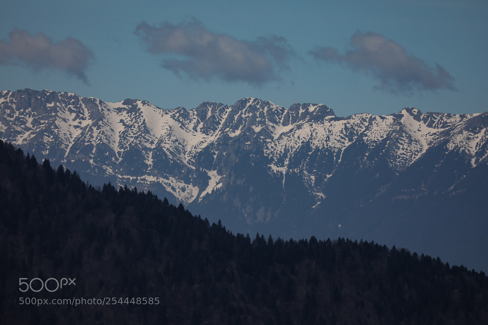 Canon EOS 5D Mark IV sample photo. Untitled photography