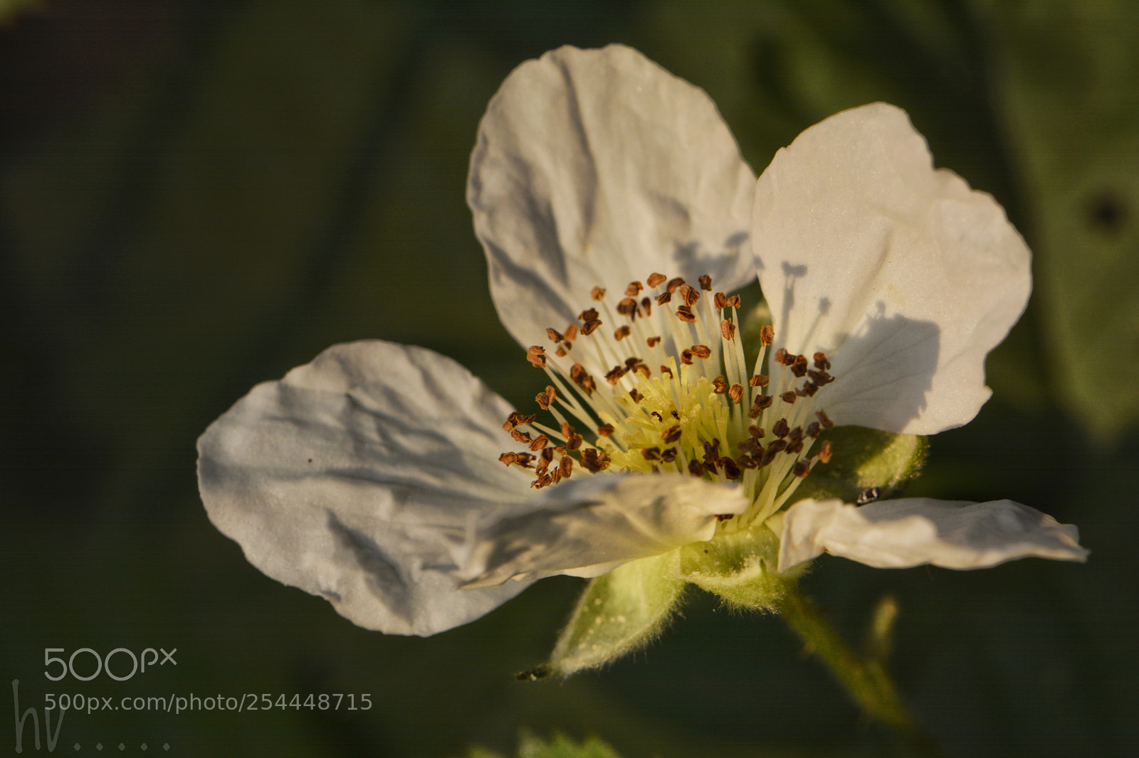 Nikon D7100 sample photo. Sunset photography