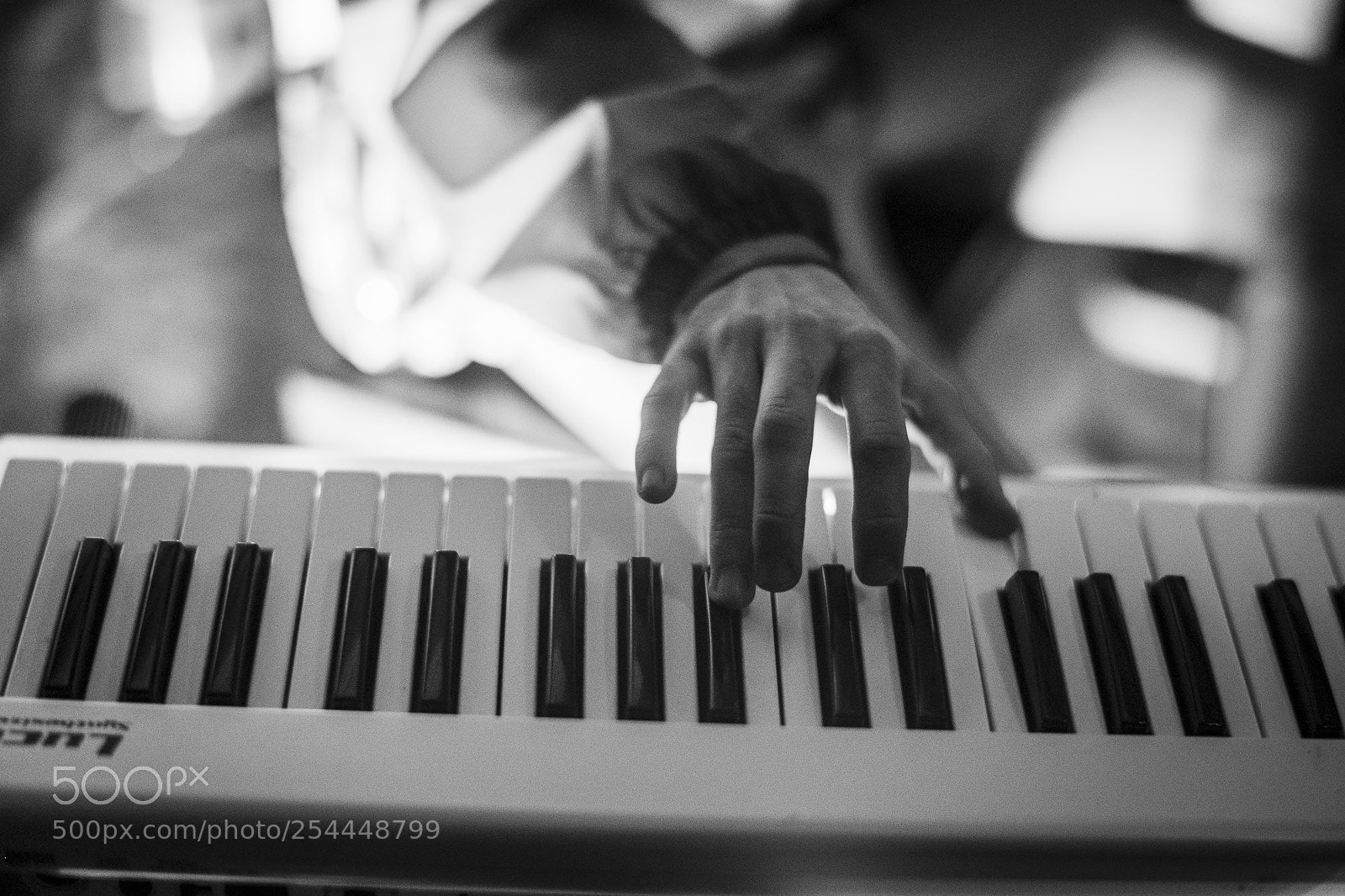 Nikon D850 sample photo. Concerto photography