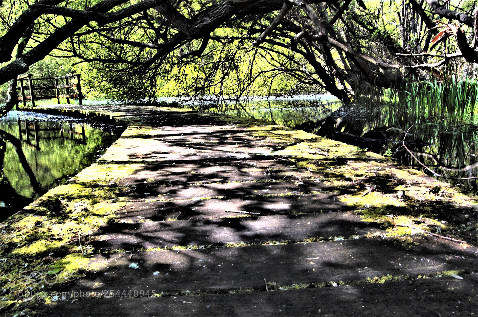 Nikon D40 sample photo. Lagoa san martiÑo photography