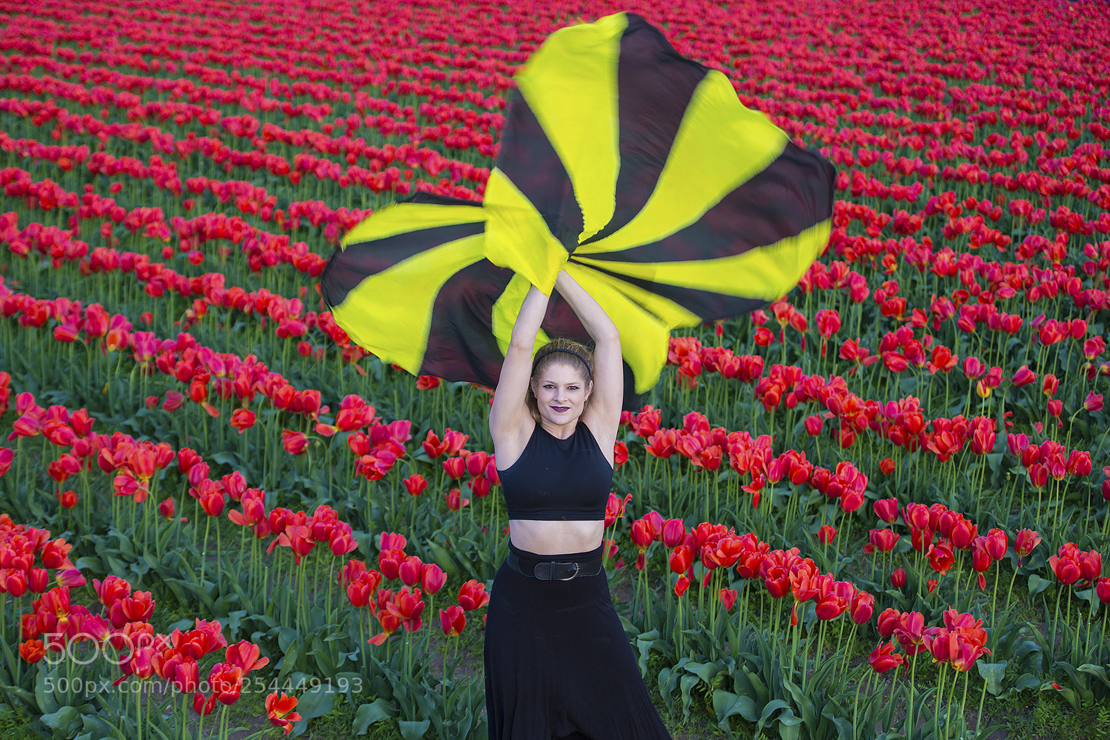 Nikon D800 sample photo. Flags and flowers photography