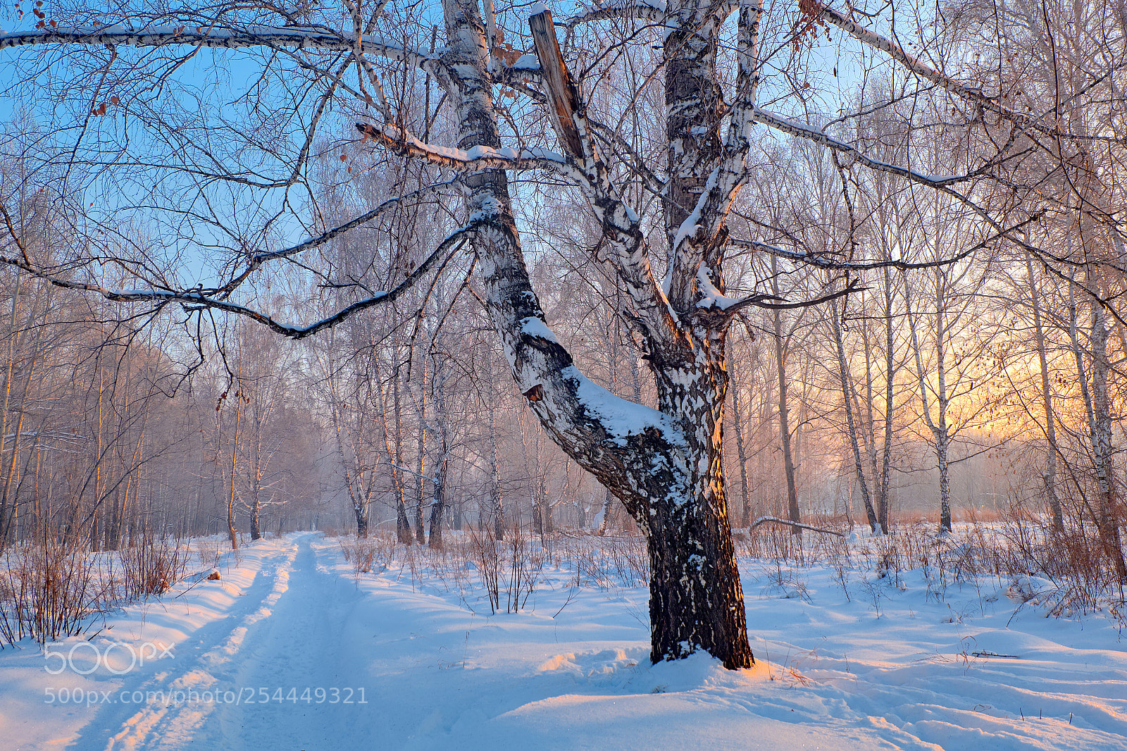 Fujifilm X-M1 sample photo. Sunset in a winter photography
